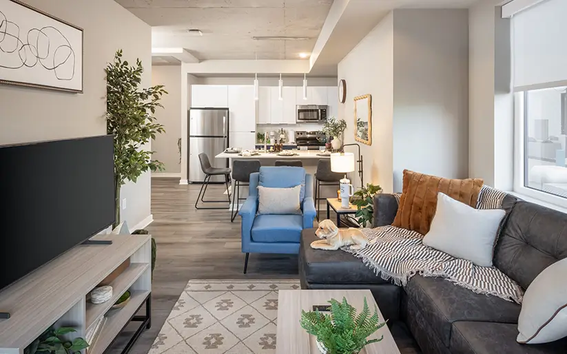 furnished living room